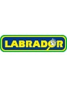 LABRADOR